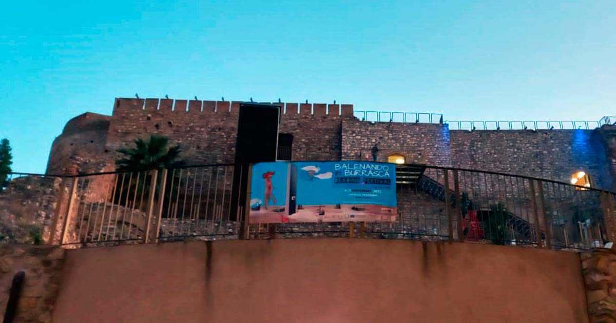 Immagine relativa alla notizia Balenando in Burrasca Reading Festival: tornano teatro, musica, arte e laboratori