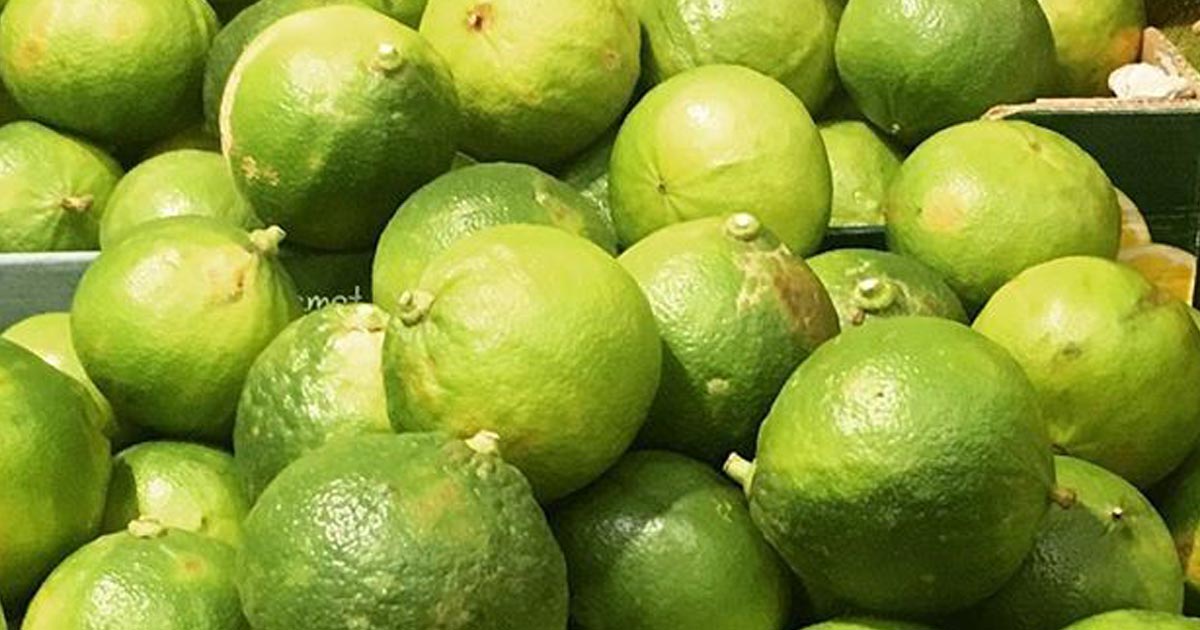 Immagine relativa alla notizia Avviso d'asta pubblica per la vendita dei frutti di bergamotto di proprietà comunale - annata 2025-2026