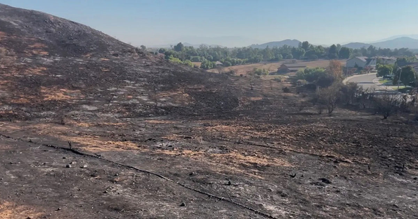 Catasto dei soprassuoli percorsi dal fuoco - Aggiornamento elenco relativo al periodo 2019-2024