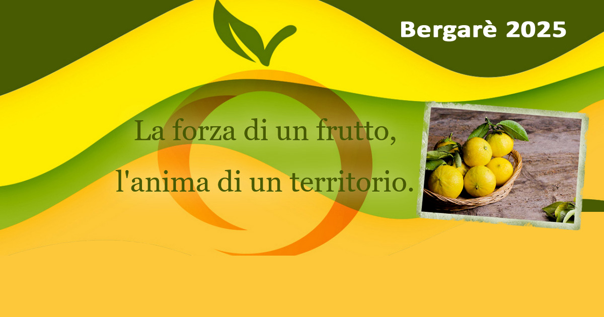 Immagine relativa alla notizia Bergarè 2025: quattro giorni dedicati al Bergamotto di Reggio Calabria tra gusto, cultura e spettacolo. Immagine relativa alla notizia Bergarè 2025: quattro giorni dedicati al Bergamotto di Reggio Calabria tra gusto, cultura e spettacolo.