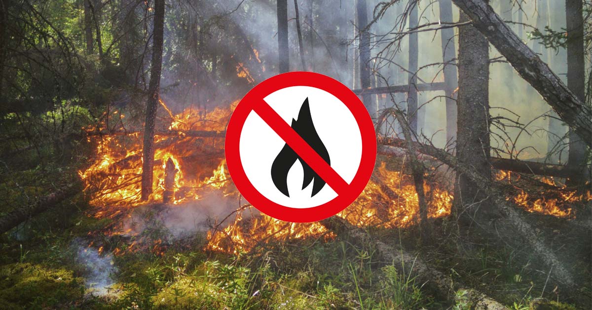 Immagine relativa alla notizia Ord. Sind. n. 59-2025 - nuovo provvedimento "Prevenzione e lotta contro gli incendi boschivi e di interfaccia anno 2025 - Comunicazioni alla popolazione" Immagine relativa alla notizia Ord. Sind. n. 59-2025 - nuovo provvedimento "Prevenzione e lotta contro gli incendi boschivi e di interfaccia anno 2025 - Comunicazioni alla popolazione"